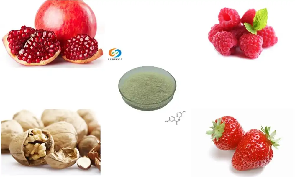 What is the best source of Urolithin A?